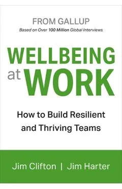 Wellbeing at Work - Jim Clifton