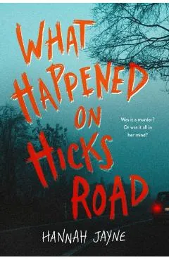 What Happened on Hicks Road - Hannah Jayne