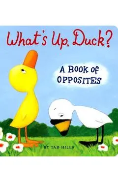 What's Up, Duck?: A Book of Opposites - Tad Hills