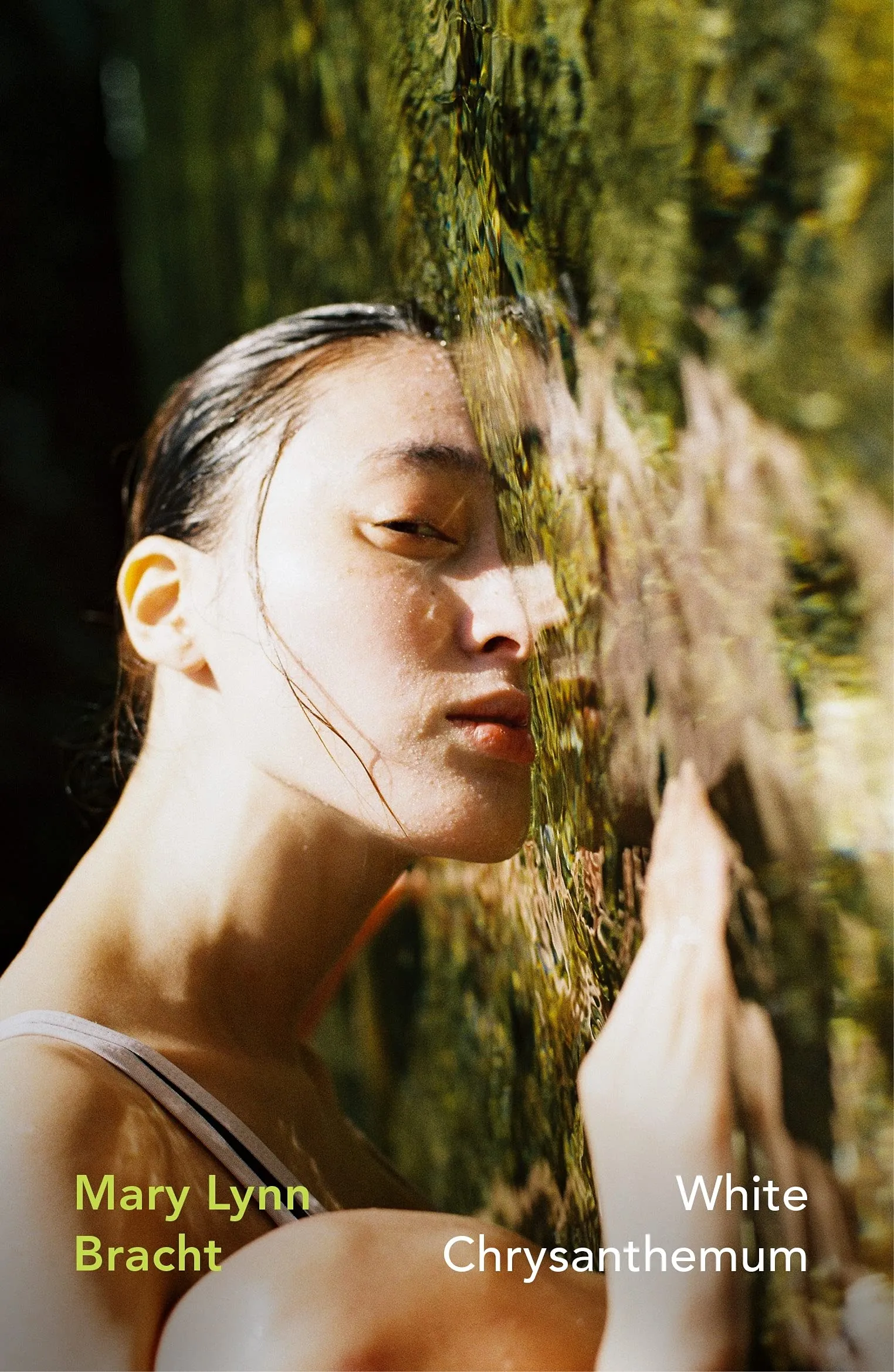 White Chrysanthemum | Mary Lynn Bracht