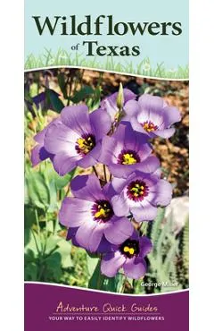 Wildflowers of Texas: Your Way to Easily Identify Wildflowers - George Oxford Miller