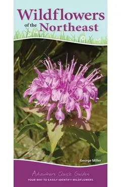 Wildflowers of the Northeast: Your Way to Easily Identify Wildflowers - George Oxford Miller