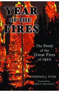 Year of the Fire: The Story of the Great Fires of 1910 - Stephen J. Pyne