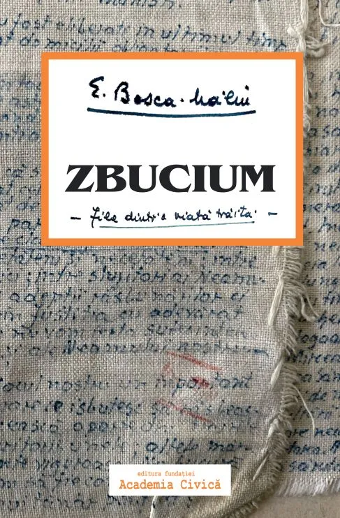 Zbucium. File dintr-o viata traita